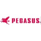 Pegasus (w & G)